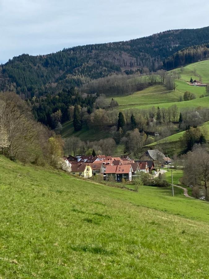 Schwarzwaldglueck Apartment Oberried (Breisgau) Exterior foto